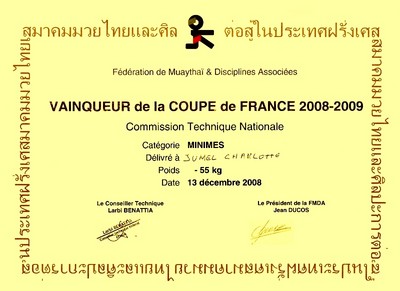 Diplome de Vainquer de la Coupe de France 20082009.jpg (format web)